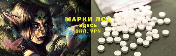 твердый Зеленодольск