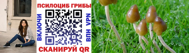 Галлюциногенные грибы Magic Shrooms Ижевск