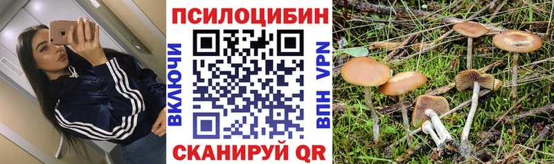 Купить  Ижевск  Псилоцибиновые грибы Magic Shrooms 